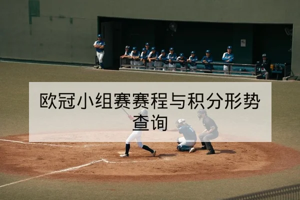 欧冠小组赛赛程与积分形势查询